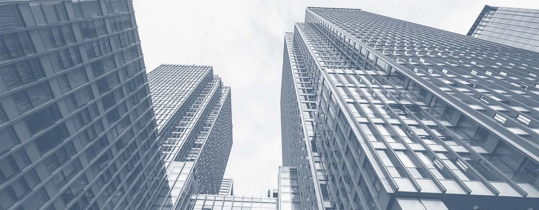 COAs, HOAs, & TOAs page header