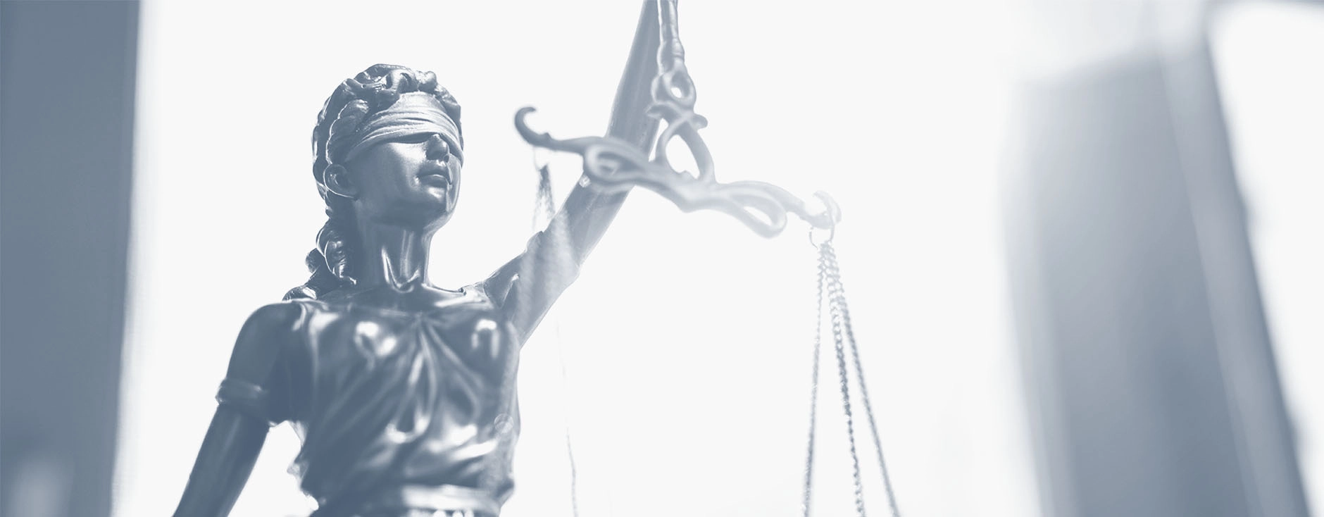 Disclaimer page header